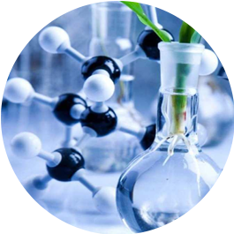 biotechnoindustry Screw Conveyor 