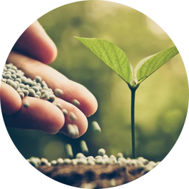 vibro sifter for dyestuffs-fertilizer