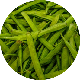 vibro sifter for guar-gum